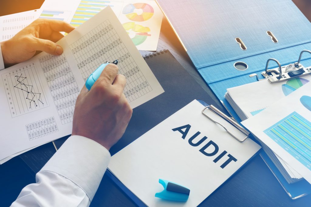 Formation Of An Audit Plan