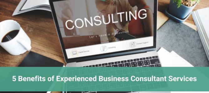 5 Benefits of Experienced Business Consultant Services