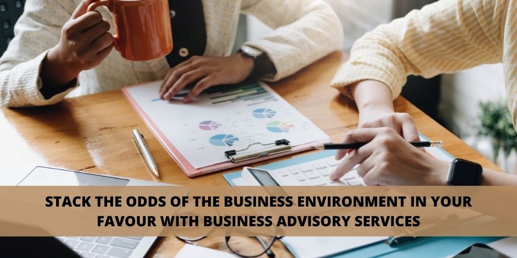 Business Advisory Companies in Delhi