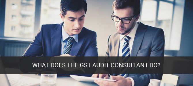 What does the GST Audit Consultant Do?