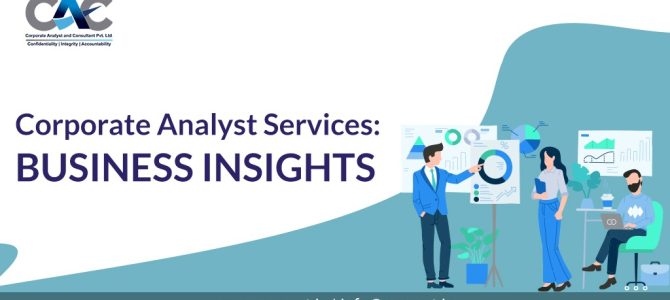 Corporate Analyst Services: Business Insights
