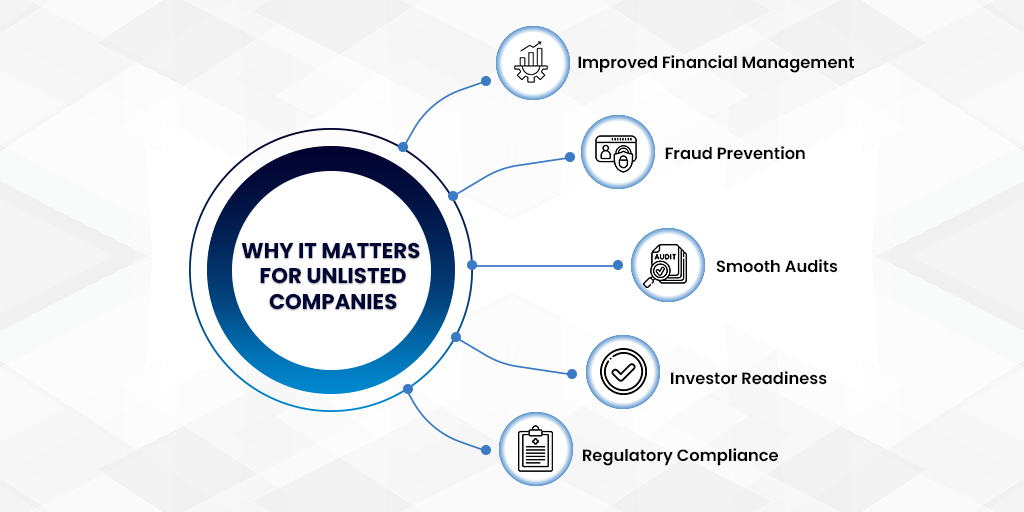 Internal Financial Control Matters