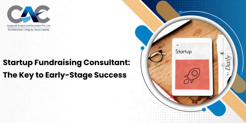 Startup Fundraising Consultant
