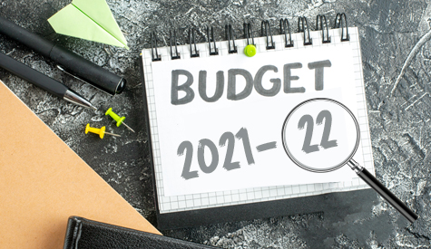 Budget Insight 2021-22