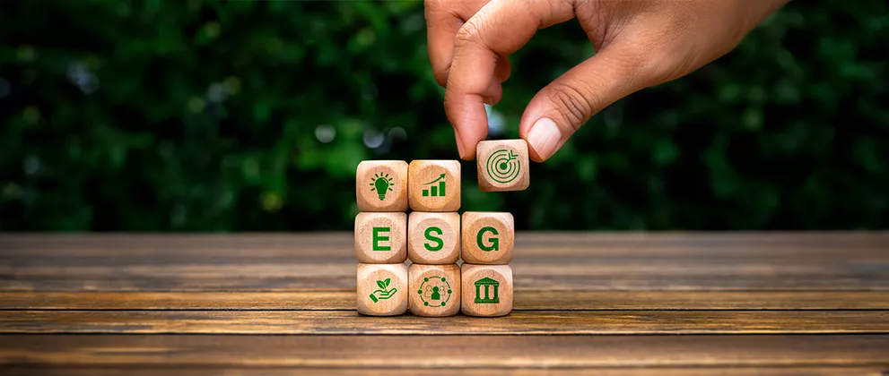 Formulation of ESG Strategy Framework