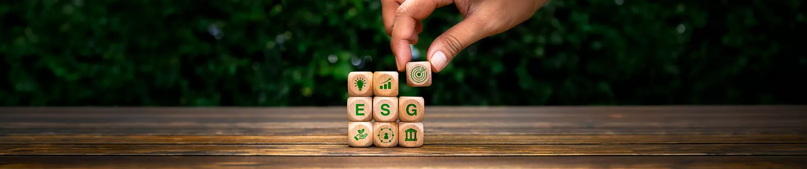 Formulation of ESG Strategy Framework