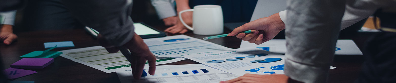 Forensic & Fraud Investigations