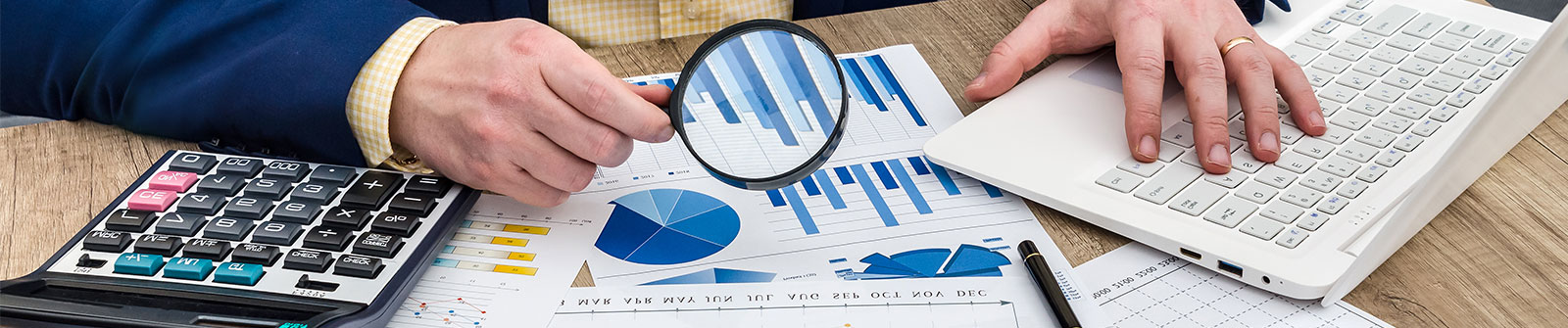 Forensic & Fraud Investigations